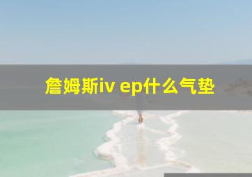 詹姆斯iv ep什么气垫